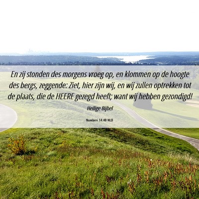 Picture 06 - Numberi 14:40 NLD - En zij stonden des morgens vroeg op, en klommen - Bible Verse Picture