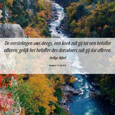 Picture 06 - Numberi 15:20 NLD - De eerstelingen uws deegs, een koek zult gij tot - Bible Verse Picture