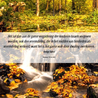 Picture 06 - Numberi 15:26 NLD - Het zal dan aan de ganse vergadering der kinderen - Bible Verse Picture