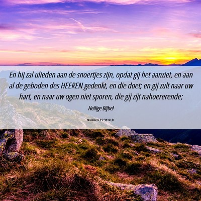 Picture 06 - Numberi 15:39 NLD - En hij zal ulieden aan de snoertjes zijn, opdat - Bible Verse Picture