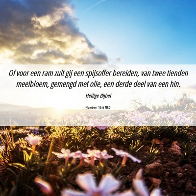 Picture 06 - Numberi 15:6 NLD - Of voor een ram zult gij een spijsoffer bereiden, - Bible Verse Picture