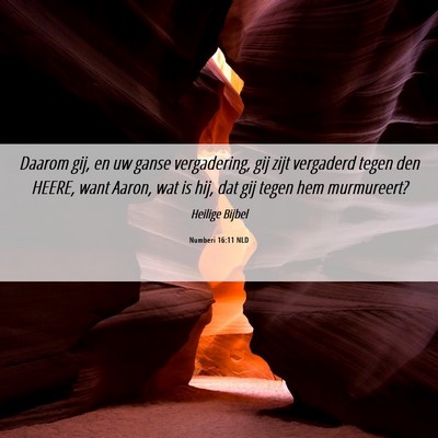 Picture 06 - Numberi 16:11 NLD - Daarom gij, en uw ganse vergadering, gij zijt - Bible Verse Picture