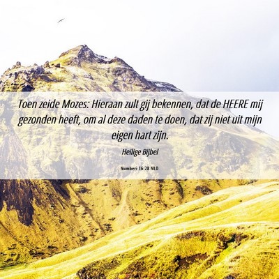 Picture 06 - Numberi 16:28 NLD - Toen zeide Mozes: Hieraan zult gij bekennen, dat - Bible Verse Picture