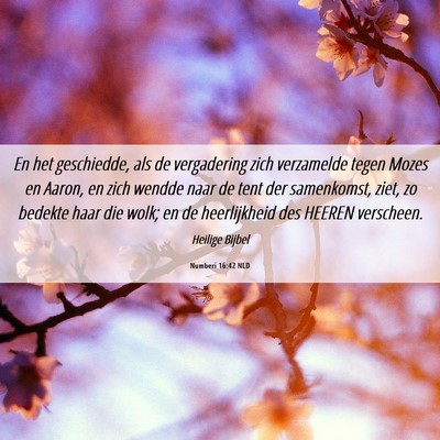Picture 06 - Numberi 16:42 NLD - En het geschiedde, als de vergadering zich - Bible Verse Picture