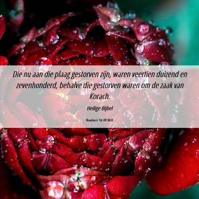 Picture 06 - Numberi 16:49 NLD - Die nu aan die plaag gestorven zijn, waren - Bible Verse Picture