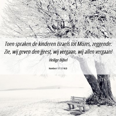 Picture 06 - Numberi 17:12 NLD - Toen spraken de kinderen Israels tot Mozes, - Bible Verse Picture