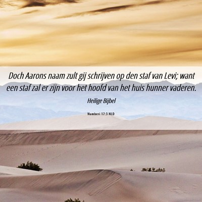 Picture 06 - Numberi 17:3 NLD - Doch Aarons naam zult gij schrijven op den staf - Bible Verse Picture