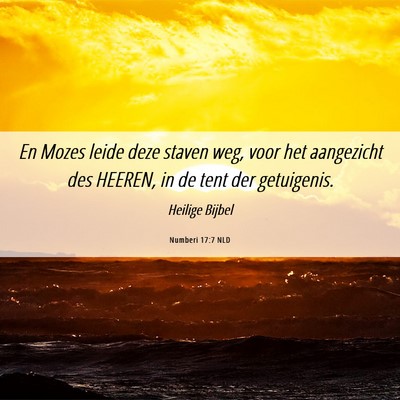Picture 06 - Numberi 17:7 NLD - En Mozes leide deze staven weg, voor het - Bible Verse Picture