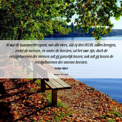 Picture 06 - Numberi 18:15 NLD - Al wat de baarmoeder opent, van alle vlees, dat - Bible Verse Picture
