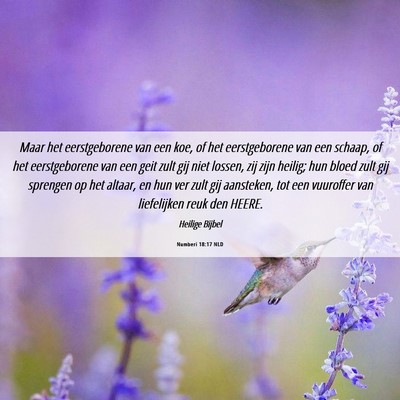 Picture 06 - Numberi 18:17 NLD - Maar het eerstgeborene van een koe, of het - Bible Verse Picture