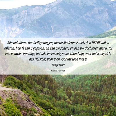 Picture 06 - Numberi 18:19 NLD - Alle hefofferen der heilige dingen, die de - Bible Verse Picture