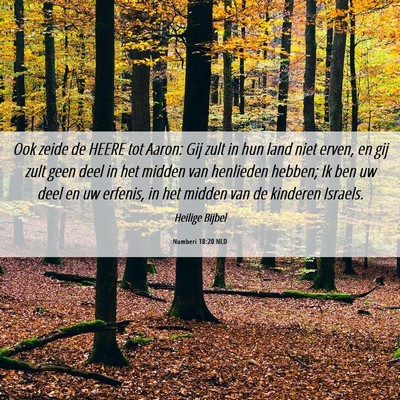 Picture 06 - Numberi 18:20 NLD - Ook zeide de HEERE tot Aaron: Gij zult in hun - Bible Verse Picture