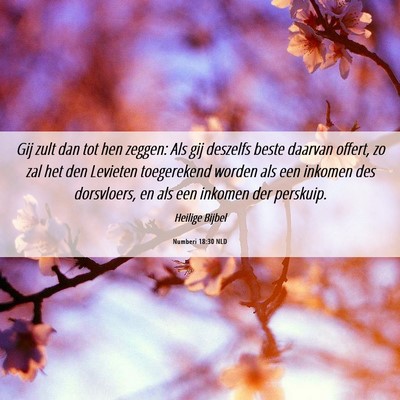 Picture 06 - Numberi 18:30 NLD - Gij zult dan tot hen zeggen: Als gij deszelfs - Bible Verse Picture