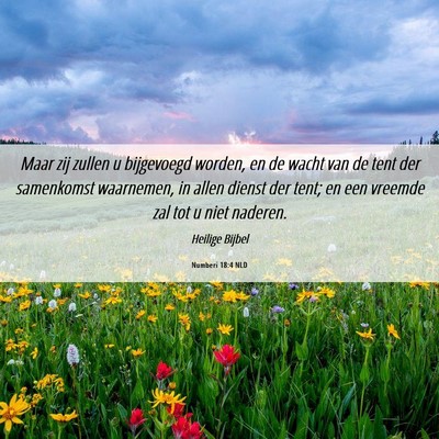 Picture 06 - Numberi 18:4 NLD - Maar zij zullen u bijgevoegd worden, en de wacht - Bible Verse Picture