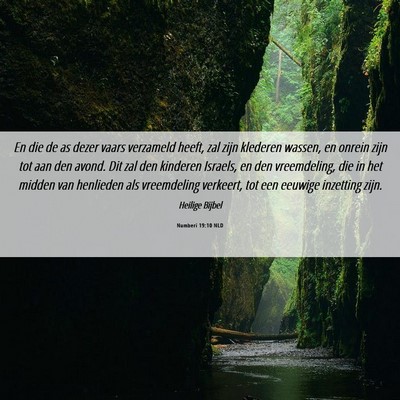 Picture 06 - Numberi 19:10 NLD - En die de as dezer vaars verzameld heeft, zal - Bible Verse Picture