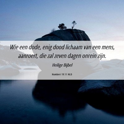 Picture 06 - Numberi 19:11 NLD - Wie een dode, enig dood lichaam van een mens, - Bible Verse Picture