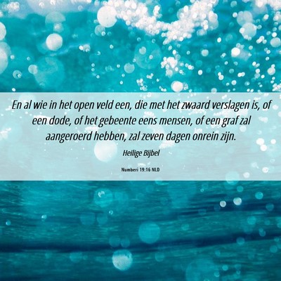 Picture 06 - Numberi 19:16 NLD - En al wie in het open veld een, die met het - Bible Verse Picture