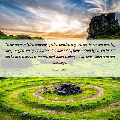 Picture 06 - Numberi 19:19 NLD - En de reine zal den onreine op den derden dag, en - Bible Verse Picture