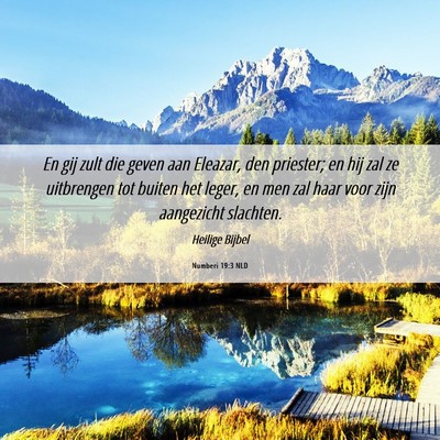 Picture 06 - Numberi 19:3 NLD - En gij zult die geven aan Eleazar, den priester; - Bible Verse Picture