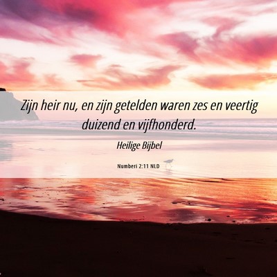 Picture 06 - Numberi 2:11 NLD - Zijn heir nu, en zijn getelden waren zes en - Bible Verse Picture