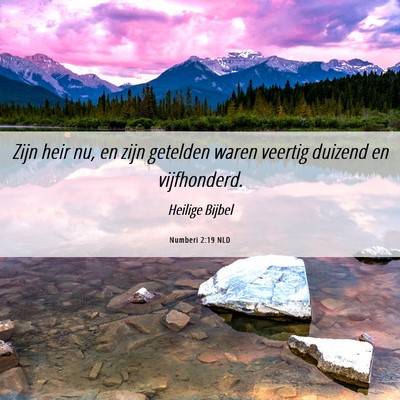 Picture 06 - Numberi 2:19 NLD - Zijn heir nu, en zijn getelden waren veertig - Bible Verse Picture