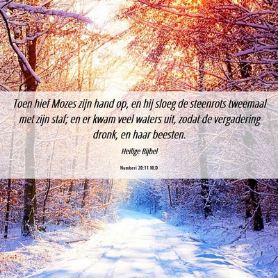 Picture 06 - Numberi 20:11 NLD - Toen hief Mozes zijn hand op, en hij sloeg de - Bible Verse Picture