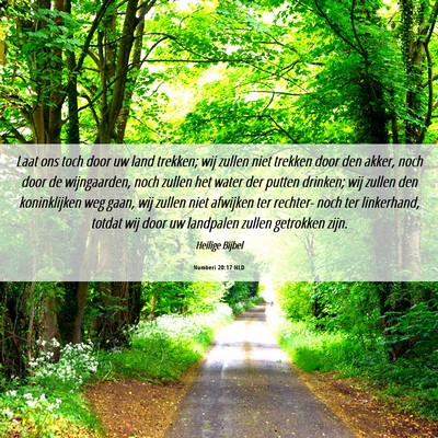 Picture 06 - Numberi 20:17 NLD - Laat ons toch door uw land trekken; wij zullen - Bible Verse Picture