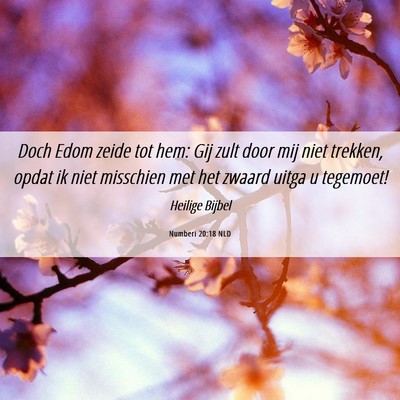 Picture 06 - Numberi 20:18 NLD - Doch Edom zeide tot hem: Gij zult door mij niet - Bible Verse Picture