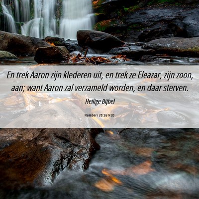 Picture 06 - Numberi 20:26 NLD - En trek Aaron zijn klederen uit, en trek ze - Bible Verse Picture