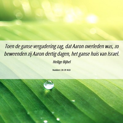 Picture 06 - Numberi 20:29 NLD - Toen de ganse vergadering zag, dat Aaron - Bible Verse Picture