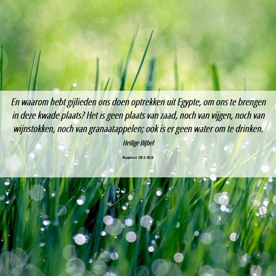 Picture 06 - Numberi 20:5 NLD - En waarom hebt gijlieden ons doen optrekken uit - Bible Verse Picture