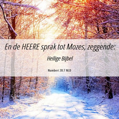 Picture 06 - Numberi 20:7 NLD - En de HEERE sprak tot Mozes, - Bible Verse Picture