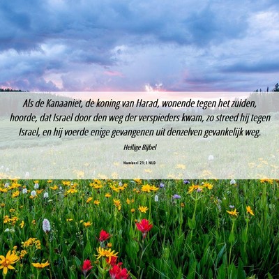 Picture 06 - Numberi 21:1 NLD - Als de Kanaaniet, de koning van Harad, wonende - Bible Verse Picture
