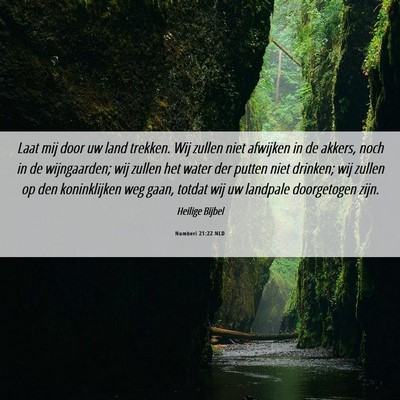 Picture 06 - Numberi 21:22 NLD - Laat mij door uw land trekken. Wij zullen niet - Bible Verse Picture