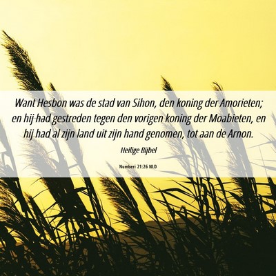 Picture 06 - Numberi 21:26 NLD - Want Hesbon was de stad van Sihon, den koning der - Bible Verse Picture
