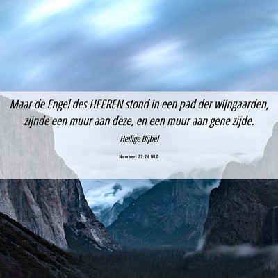 Picture 06 - Numberi 22:24 NLD - Maar de Engel des HEEREN stond in een pad der - Bible Verse Picture