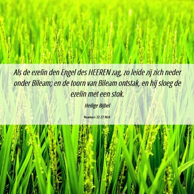 Picture 06 - Numberi 22:27 NLD - Als de ezelin den Engel des HEEREN zag, zo leide - Bible Verse Picture