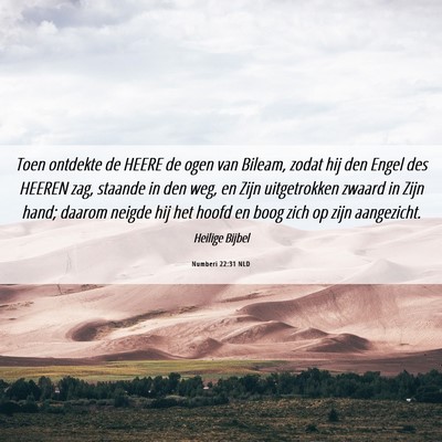 Picture 06 - Numberi 22:31 NLD - Toen ontdekte de HEERE de ogen van Bileam, zodat - Bible Verse Picture
