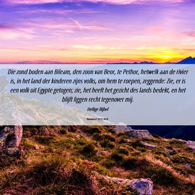 Picture 06 - Numberi 22:5 NLD - Die zond boden aan Bileam, den zoon van Beor, te - Bible Verse Picture