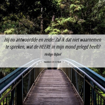 Picture 06 - Numberi 23:12 NLD - Hij nu antwoordde en zeide: Zal ik dat niet - Bible Verse Picture