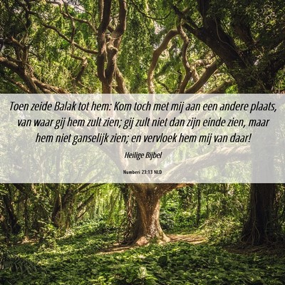 Picture 06 - Numberi 23:13 NLD - Toen zeide Balak tot hem: Kom toch met mij aan - Bible Verse Picture