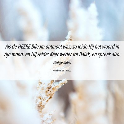 Picture 06 - Numberi 23:16 NLD - Als de HEERE Bileam ontmoet was, zo leide Hij het - Bible Verse Picture