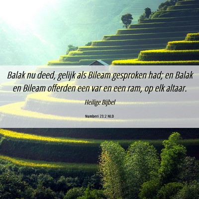 Picture 06 - Numberi 23:2 NLD - Balak nu deed, gelijk als Bileam gesproken had; - Bible Verse Picture