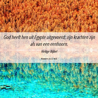 Picture 06 - Numberi 23:22 NLD - God heeft hen uit Egypte uitgevoerd; zijn - Bible Verse Picture