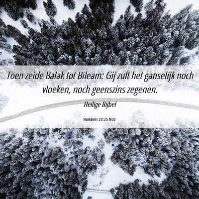 Picture 06 - Numberi 23:25 NLD - Toen zeide Balak tot Bileam: Gij zult het - Bible Verse Picture