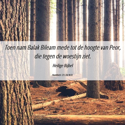 Picture 06 - Numberi 23:28 NLD - Toen nam Balak Bileam mede tot de hoogte van - Bible Verse Picture
