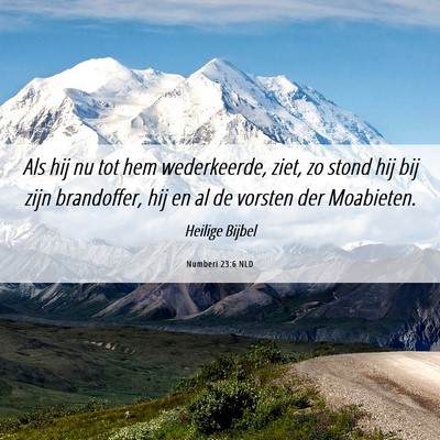 Picture 06 - Numberi 23:6 NLD - Als hij nu tot hem wederkeerde, ziet, zo stond - Bible Verse Picture