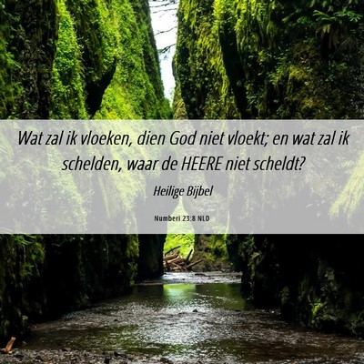 Picture 06 - Numberi 23:8 NLD - Wat zal ik vloeken, dien God niet vloekt; en wat - Bible Verse Picture