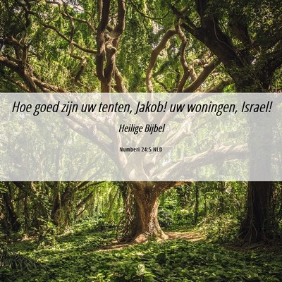Picture 06 - Numberi 24:5 NLD - Hoe goed zijn uw tenten, Jakob! uw woningen, - Bible Verse Picture
