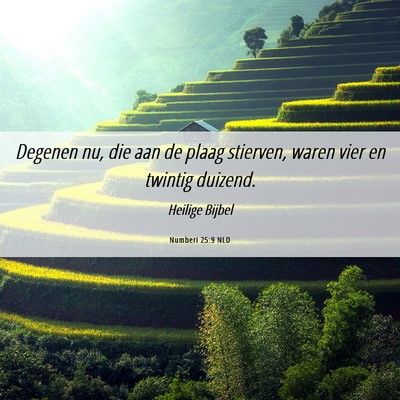 Picture 06 - Numberi 25:9 NLD - Degenen nu, die aan de plaag stierven, waren vier - Bible Verse Picture